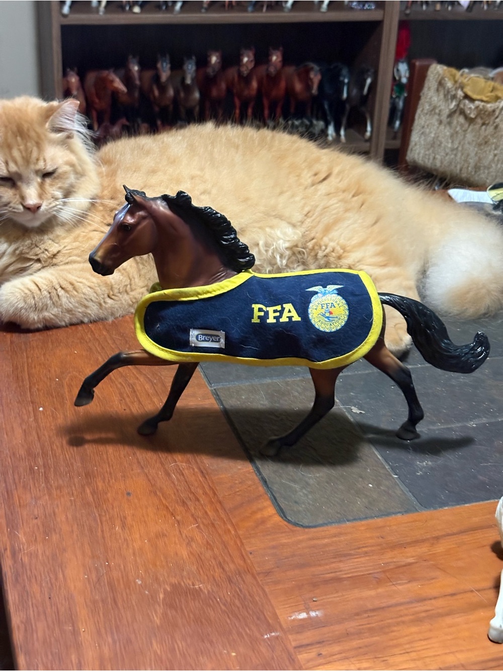 Breyer FFA Model